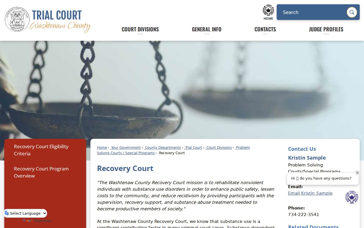 Chelsea court docket recovery court eligibility and program information