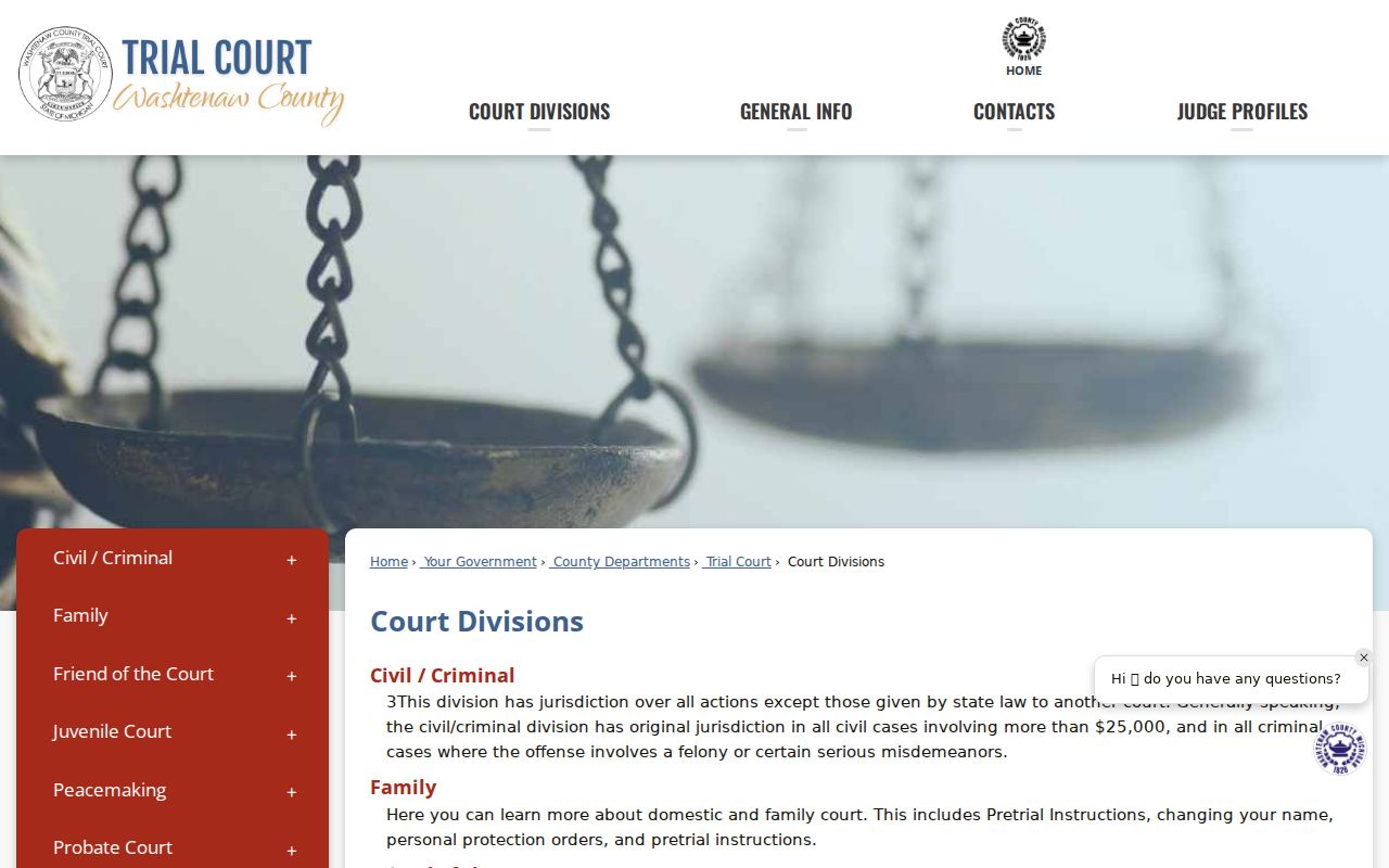 Washtenaw County civil docket court divisions and public court services