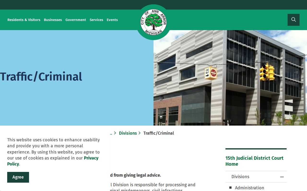 Washtenaw County criminal dockets and 15th District Court criminal process
